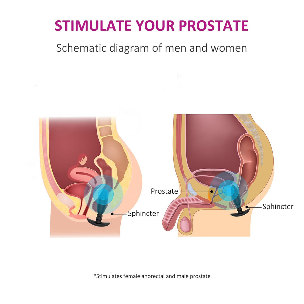 TP Premium Silicone Butt Anal Plug With 100% Silicone - ADST
